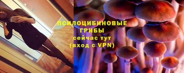 МДПВ Балахна