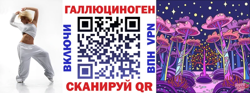 OMG ONION  Черняховск  Псилоцибиновые грибы Cubensis 